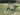 Thumbnail von Gnarf1975