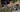 Thumbnail von Tim Felix Brosch